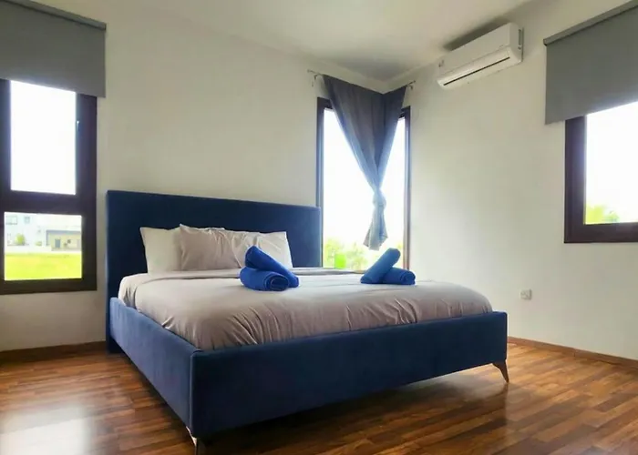 Palmtreevilla ヴィラ