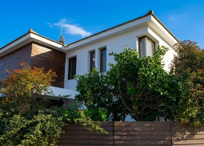 Palmtreevilla ヴィラ