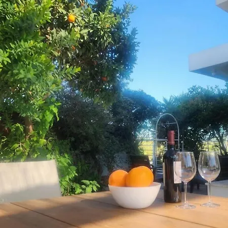 Palm Tree Villa By Staycom Βορόκλινη