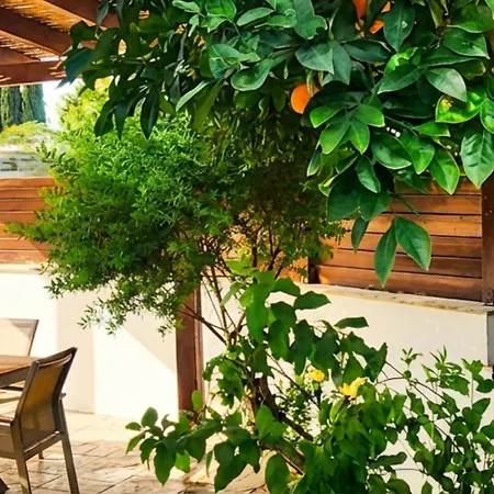 Palm Tree Villa By Staycom